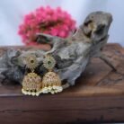 freecompress-premium earring 399rs